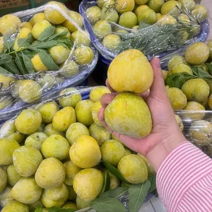 Exotic Chinese Plums at $18/kg Spark Buying Frenzy - image 6
