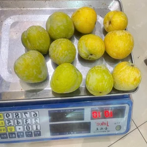 Exotic Chinese Plums at $18/kg Spark Buying Frenzy - image 0