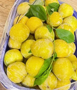 Exotic Chinese Plums at $18/kg Spark Buying Frenzy - image 3