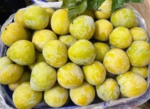 Exotic Chinese Plums at $18/kg Spark Buying Frenzy - image 7