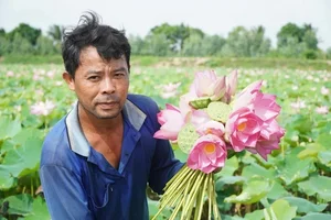 Exploring Ho Van Cuong’s Roots: The Unique Charm of His Rural Hometown - image 3