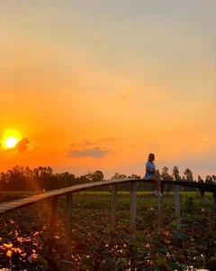 Exploring Ho Van Cuong’s Roots: The Unique Charm of His Rural Hometown - image 1
