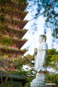 Discover the Stunning Japanese-Style Temple Nestled in Gia Lai Mountain Town - image 8