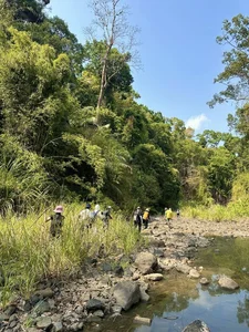 Trekking Bu Gia Map National Park: Discover the Surreal Natural Beauty of Vietnam's Hidden Gem - image 7