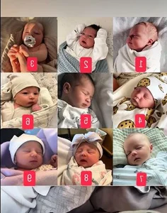 Tun Pham Reveals He Has a Child: Netizens Scramble to Identify the Mother - image 1