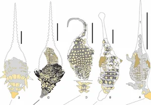 The Sleeping Dragon: Discovering the Incredible 110-Million-Year-Old Borealopelta Fossil - image 0