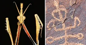 Prehistoric Mysteries: The Enigma of Hybrid Creature Artifacts - image 2