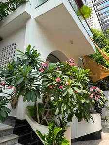 Inside Actress Van Trang's Stunning Villa and Creative Projects - image 2