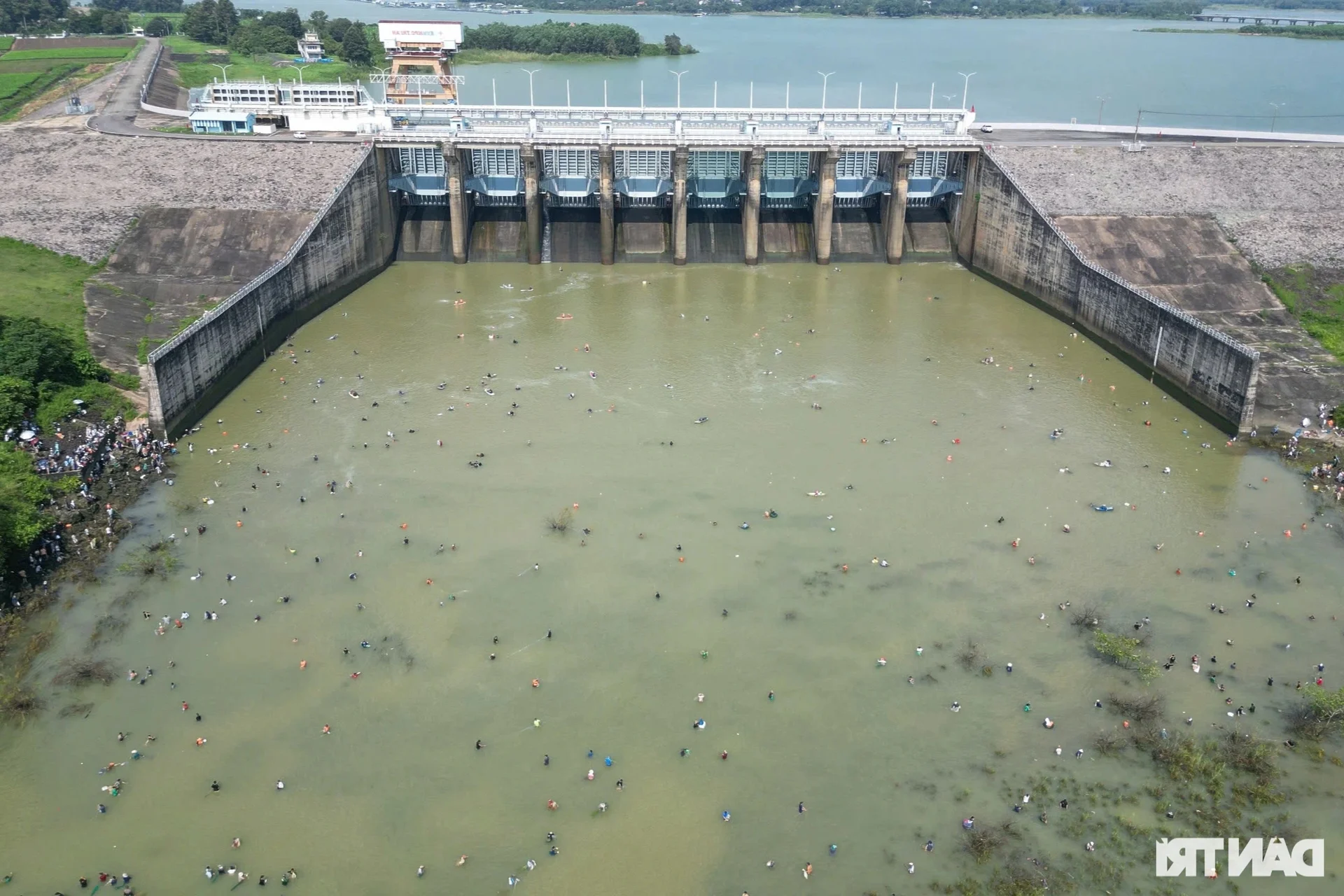 Giant Fish Caught as Southern Vietnam's Largest Hydropower Dam Closes