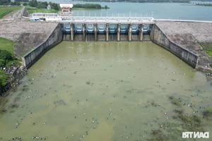Giant Fish Caught as Southern Vietnam's Largest Hydropower Dam Closes - image 0