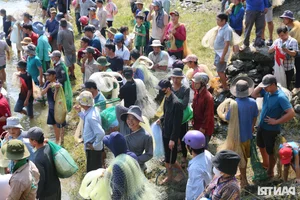Giant Fish Caught as Southern Vietnam's Largest Hydropower Dam Closes - image 2