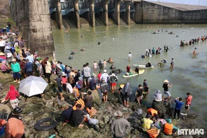 Giant Fish Caught as Southern Vietnam's Largest Hydropower Dam Closes - image 11