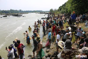 Giant Fish Caught as Southern Vietnam's Largest Hydropower Dam Closes - image 12