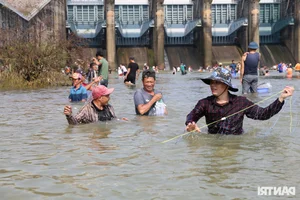 Giant Fish Caught as Southern Vietnam's Largest Hydropower Dam Closes - image 4