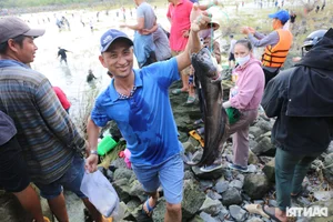 Giant Fish Caught as Southern Vietnam's Largest Hydropower Dam Closes - image 1