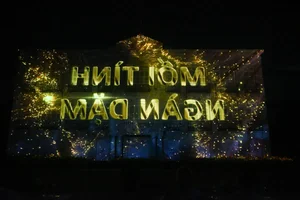 The Story of Da Nang: A Spectacular 3D Mapping Experience - image 3