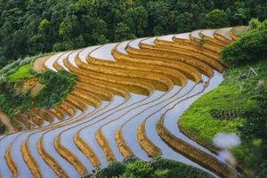 Escape to Ta Xua: A Refreshing Summer Retreat Above the Clouds - image 6