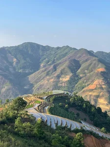 Escape to Ta Xua: A Refreshing Summer Retreat Above the Clouds - image 0