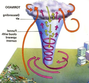 Terrifying Tornado Facts: Understanding Nature's Most Violent Storms and Their Destructive Power - image 9