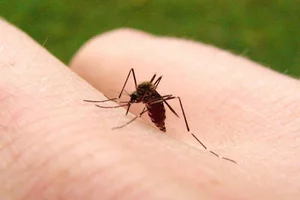 Shocking Revelations: Inside the World of the Most Dangerous Animals on Earth - image 14