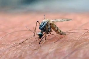Shocking Revelations: Inside the World of the Most Dangerous Animals on Earth - image 1