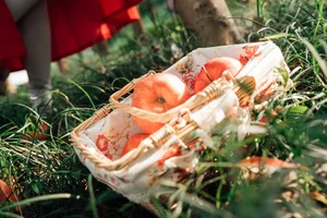 Modern Fairy Tale: A Creative Little Red Riding Hood Cosplay - image 24