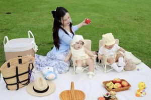 Hottest Korean-Vietnamese Mixed Twins in Vbiz 2024 - image 3
