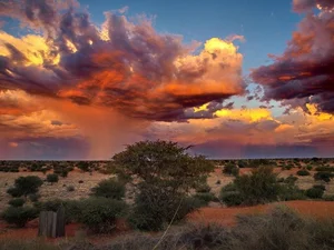 Unveiling the Secrets of the Namib Desert: Africa's Majestic Red Sand Paradise - image 1