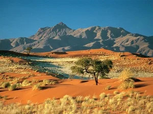 Unveiling the Secrets of the Namib Desert: Africa's Majestic Red Sand Paradise - image 7
