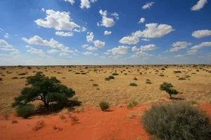 Unveiling the Secrets of the Namib Desert: Africa's Majestic Red Sand Paradise - image 2