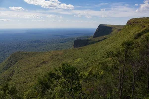 Exploring Bolivia's Untouched Pristine Rainforest: A Hidden Natural Paradise - image 1