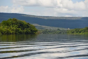 Exploring Bolivia's Untouched Pristine Rainforest: A Hidden Natural Paradise - image 7