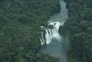 Exploring Bolivia's Untouched Pristine Rainforest: A Hidden Natural Paradise - image 3