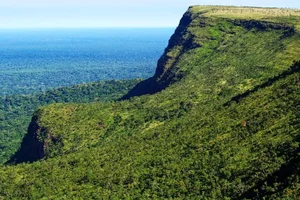 Exploring Bolivia's Untouched Pristine Rainforest: A Hidden Natural Paradise - image 0