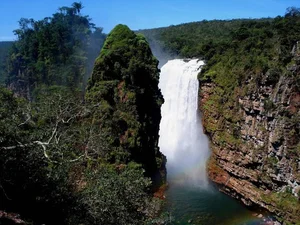 Exploring Bolivia's Untouched Pristine Rainforest: A Hidden Natural Paradise - image 6