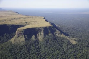Exploring Bolivia's Untouched Pristine Rainforest: A Hidden Natural Paradise - image 4