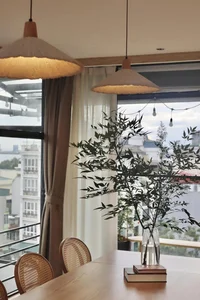 Huynh Anh and Bach Lan Phuong Dreamy Rooftop Garden Villa - image 9