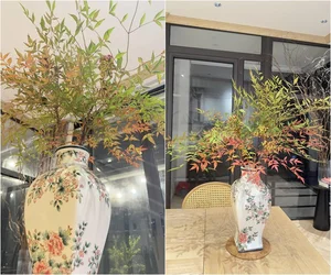 Huynh Anh and Bach Lan Phuong Dreamy Rooftop Garden Villa - image 7