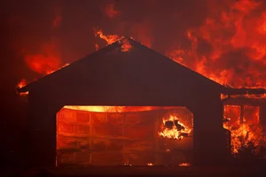 California Wildfires: Apocalyptic Scenes and the Devastating Impact of the Recent Blazes - image 7