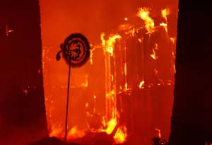 California Wildfires: Apocalyptic Scenes and the Devastating Impact of the Recent Blazes - image 13