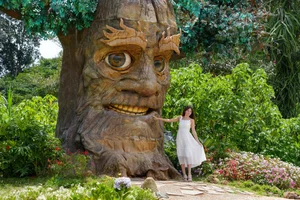 Exploring the Enchanting Dwarf Village: A 6-Hectare Fairytale Land in Dalat - image 4