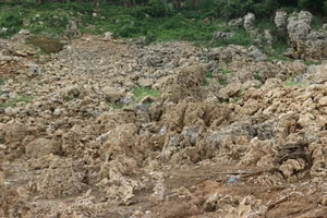 Hoa Binh Hydropower Reservoir Hits Record Low Water Levels - image 5