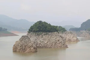 Hoa Binh Hydropower Reservoir Hits Record Low Water Levels - image 6