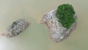 Hoa Binh Hydropower Reservoir Hits Record Low Water Levels - image 2