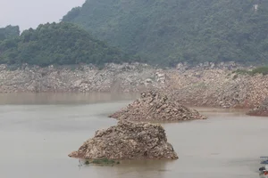 Hoa Binh Hydropower Reservoir Hits Record Low Water Levels - image 3