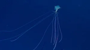 Mysteries of the Abyss: Discovering Earth's Deep-Sea 'Monsters' - image 2