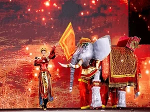 Hilarious and Unforgettable Blunders from Vietnamese Beauty Pageants That Went Viral - image 5