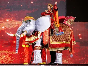 Hilarious and Unforgettable Blunders from Vietnamese Beauty Pageants That Went Viral - image 2