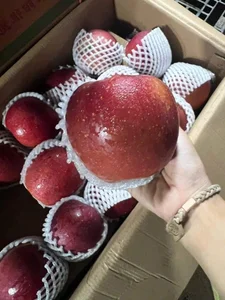 Cheap Chinese Honey Apples Take Asian Markets by Storm - image 2