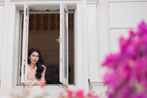 Inside the Opulent 200 Billion VND Villa of Meritorious Artist Vu Luan and His Wife - image 4